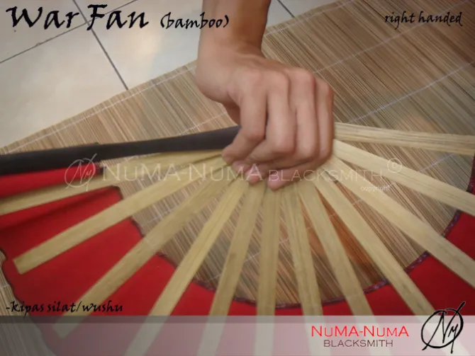 Wood Weapon kipas silat/wushu 4 sdc11025